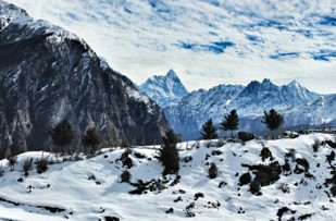Auli