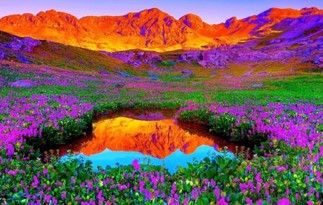 Valley of flowers